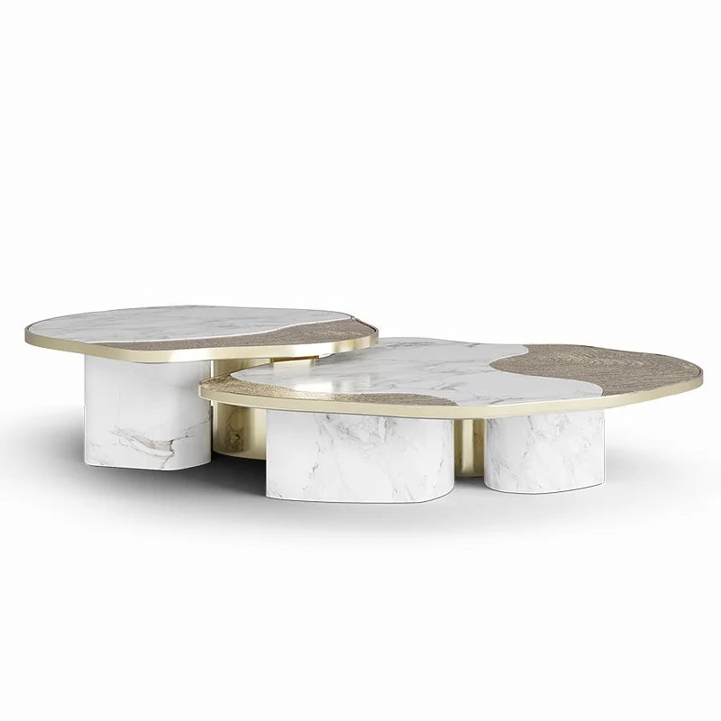 Modern Designer Combination Coffee Table